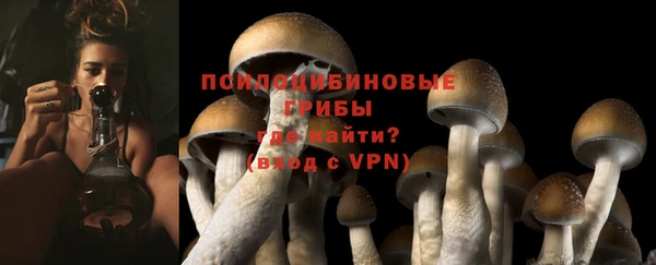 герыч Арсеньев