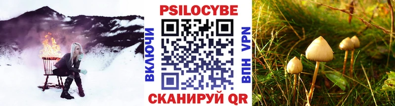 нарко площадка формула  Лыткарино  Галлюциногенные грибы Magic Shrooms  купить  цена 