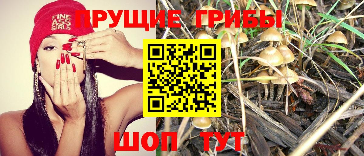 Галлюциногенные грибы MAGIC MUSHROOMS Лыткарино
