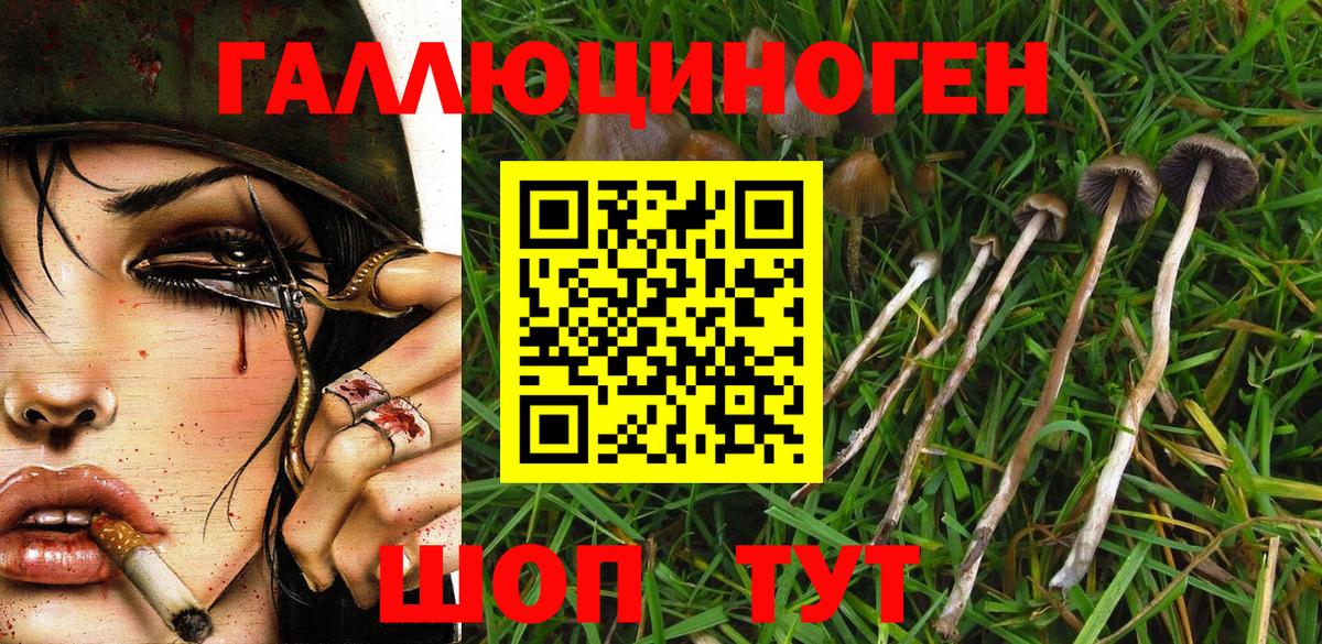 купить наркотики сайты  Вход с VPN  Лыткарино  Галлюциногенные грибы Magic Shrooms 